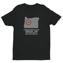 Load image into Gallery viewer, MC KENZIE BRIDGE STATE near McKENZIE BRIDGE; OREGON (00S) T-Shirt