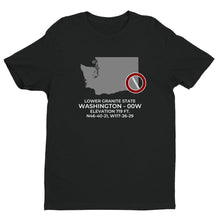 Load image into Gallery viewer, LOWER GRANITE STATE outside COLFAX; WASHINGTON (00W) T-Shirt