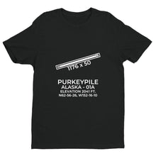 Load image into Gallery viewer, 01a purkeypile ak t shirt, Black