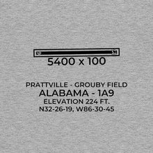 Load image into Gallery viewer, 1a9 prattville al t shirt, Gray