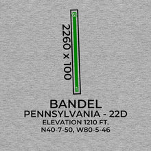 Load image into Gallery viewer, 22d eighty four pa t shirt, Gray