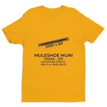 Load image into Gallery viewer, 2t1 muleshoe tx t shirt, Yellow