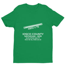 Load image into Gallery viewer, 6d9 east tawas mi t shirt, Green