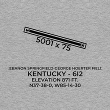 Load image into Gallery viewer, 6i2 springfield ky t shirt, Gray