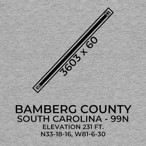 99n bamberg sc t shirt, Gray
