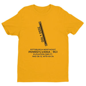9g1 pittsburgh pa t shirt, Yellow