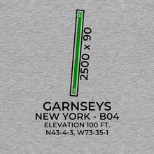 Load image into Gallery viewer, b04 schuylerville ny t shirt, Gray