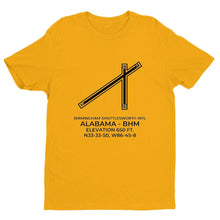 Load image into Gallery viewer, bhm birmingham al t shirt, Yellow