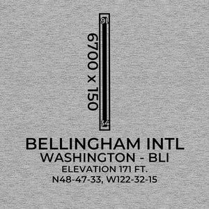 bli bellingham wa t shirt, Gray
