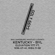 Load image into Gallery viewer, byl williamsburg ky t shirt, Gray