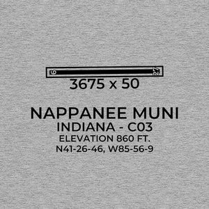 c03 nappanee in t shirt, Gray