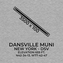 Load image into Gallery viewer, dsv dansville ny t shirt, Gray