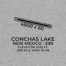 Load image into Gallery viewer, e89 conchas dam nm t shirt, Gray