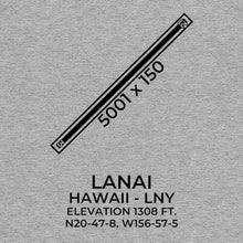 Load image into Gallery viewer, lny lanai city hi t shirt, Gray