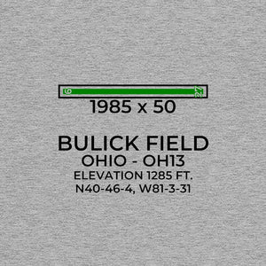 oh13 minerva oh t shirt, Gray