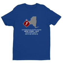 Load image into Gallery viewer, OLE facility map in OLEAN; NEW YORK, Royal Blue