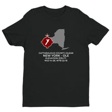 Load image into Gallery viewer, OLE facility map in OLEAN; NEW YORK, Black