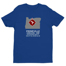 Load image into Gallery viewer, S39 facility map in PRINEVILLE; OREGON, Royal Blue