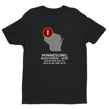 Load image into Gallery viewer, MINNESUING near LAKE NEBAGAMON; WISCONSIN (WI31) T-Shirt